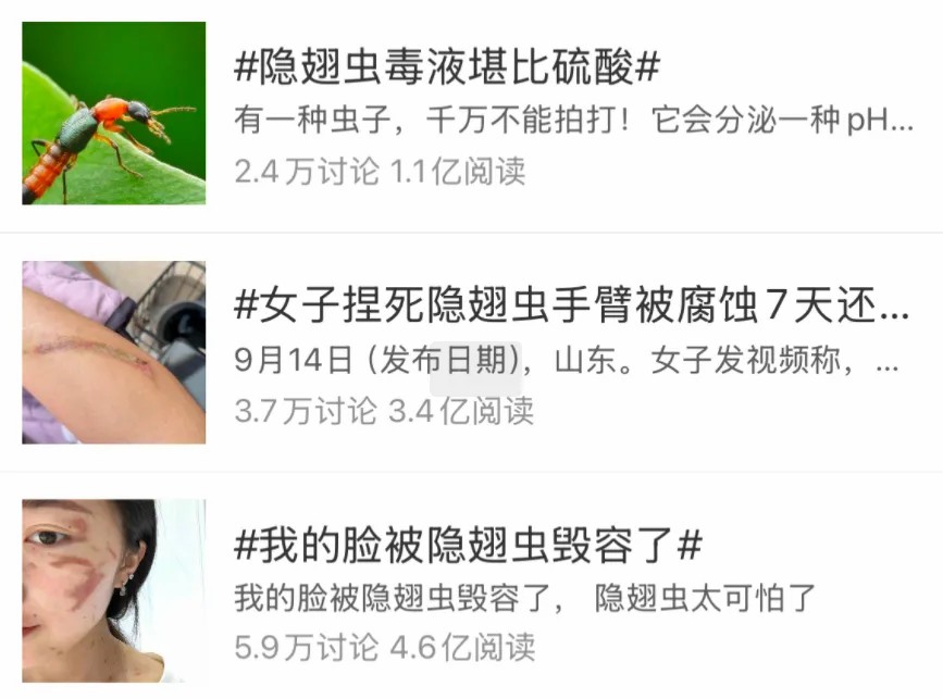 有人因此“毁容”!遇到这种虫子千万不能拍